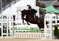 HSM_2895-1