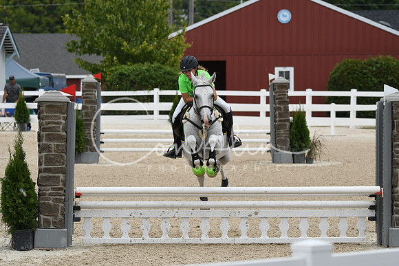 HSM_2959