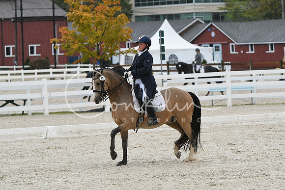 HSM_0279