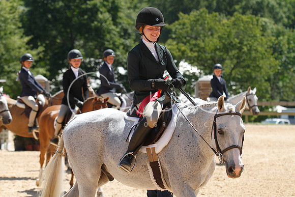 _ABZ1956