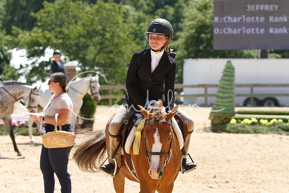 _ABZ1960