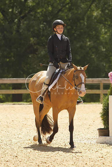 _ABZ2169