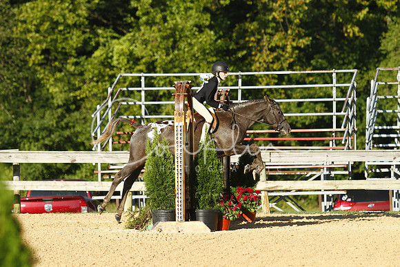 _ABZ9779