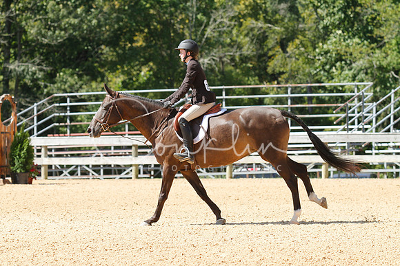 _ABZ1201