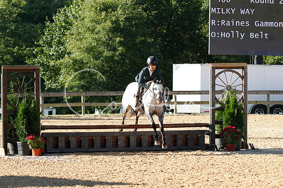 _ABZ0134