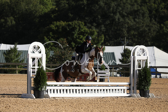 FA2A9833