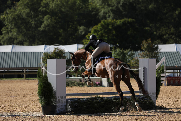 FA2A6993
