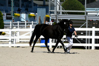 HSM_4602