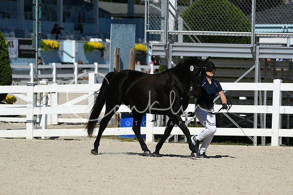 HSM_4602