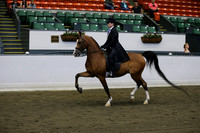 RJC10977