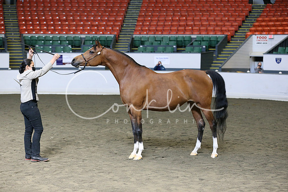 RJCX9269