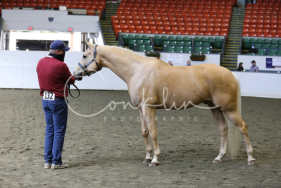 RJCX9437