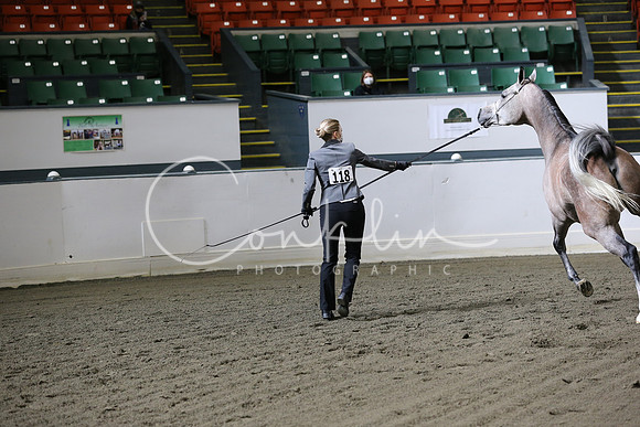 RJCX9169