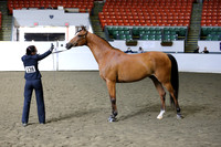 RJCX9174