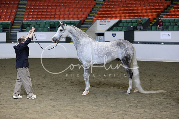 RJCX9182