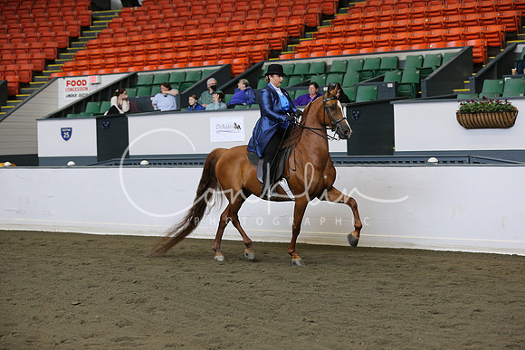 RJCX1624