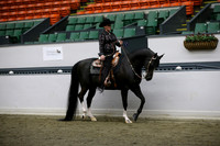 RJC17929
