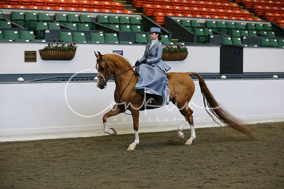 RJCX9948