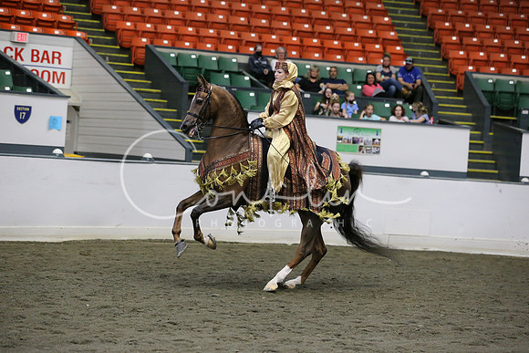 RJCX0010