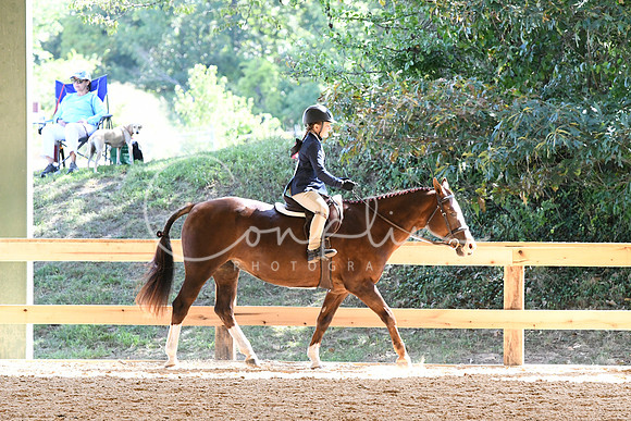 HSM_7796
