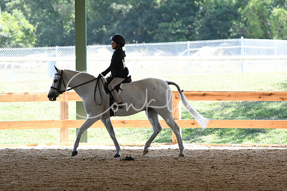 HSM_7905