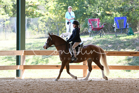 HSM_8218