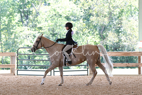 HSM_8239