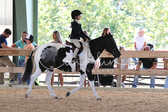 HSM_8261