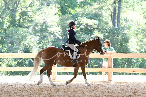 HSM_8279