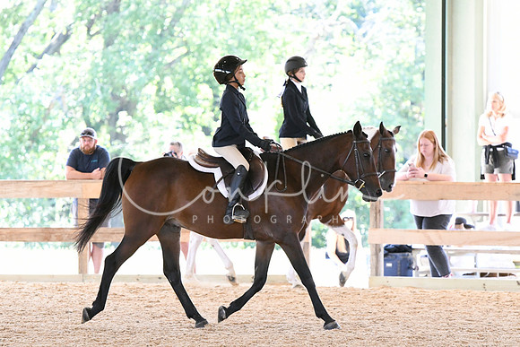 HSM_8281