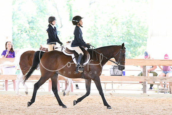 HSM_8282