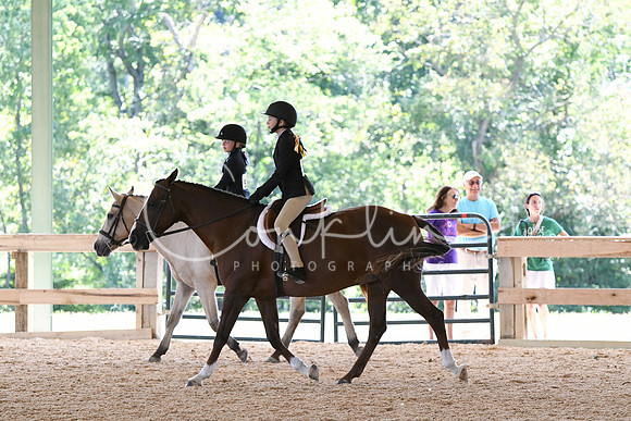 HSM_8323