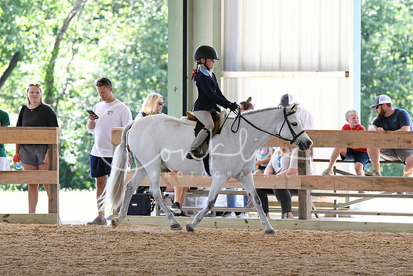 HSM_8367