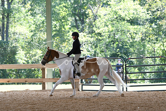HSM_8398