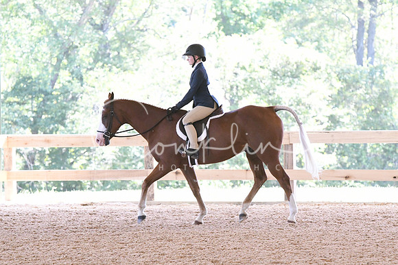 HSM_2077