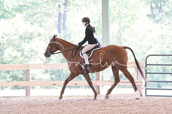 HSM_2079