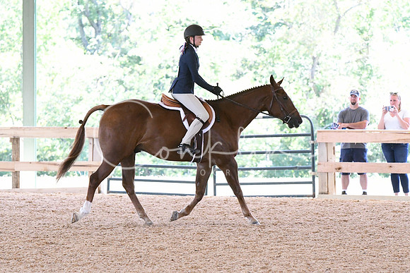 HSM_2117