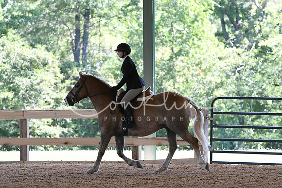 HSM_2228