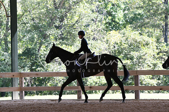 HSM_2351