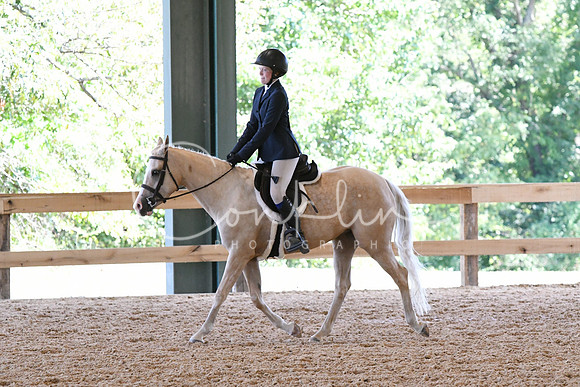 HSM_2353