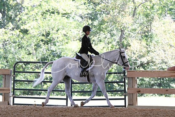 HSM_2378