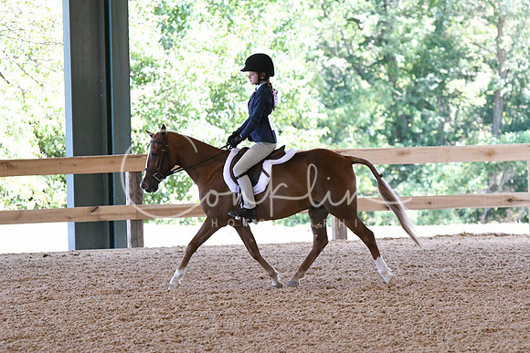 HSM_2462
