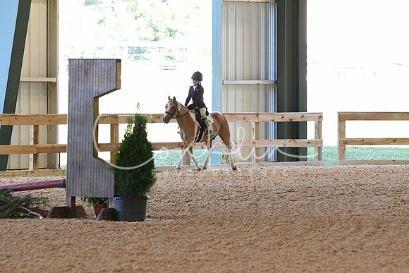 HSM_9165
