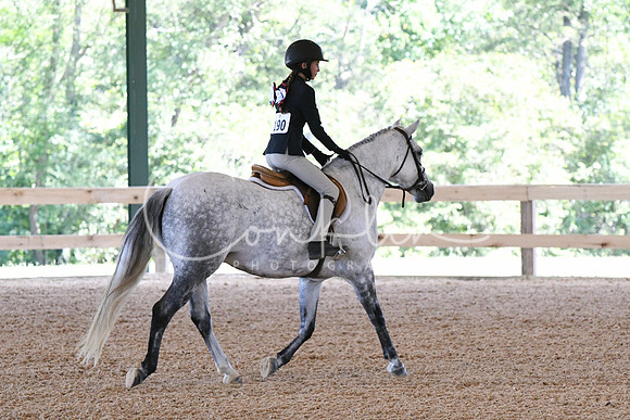 HSM_2496