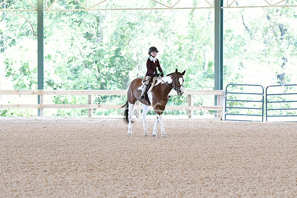 HSM_9201
