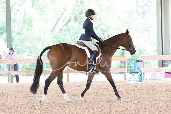 HSM_2511
