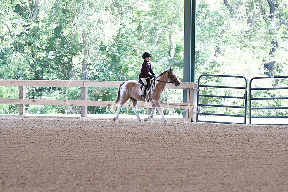 HSM_9208