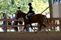 HSM_9272