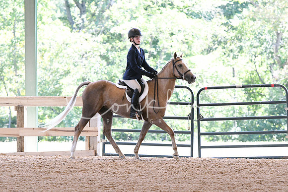 HSM_2058