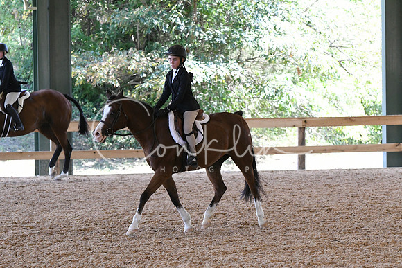 HSM_2163